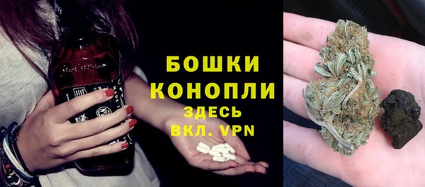 прущая мука Арсеньев