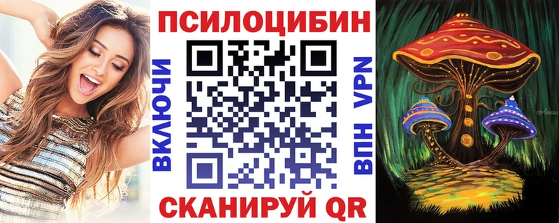 Псилоцибиновые грибы GOLDEN TEACHER  как найти закладки  Боровск 